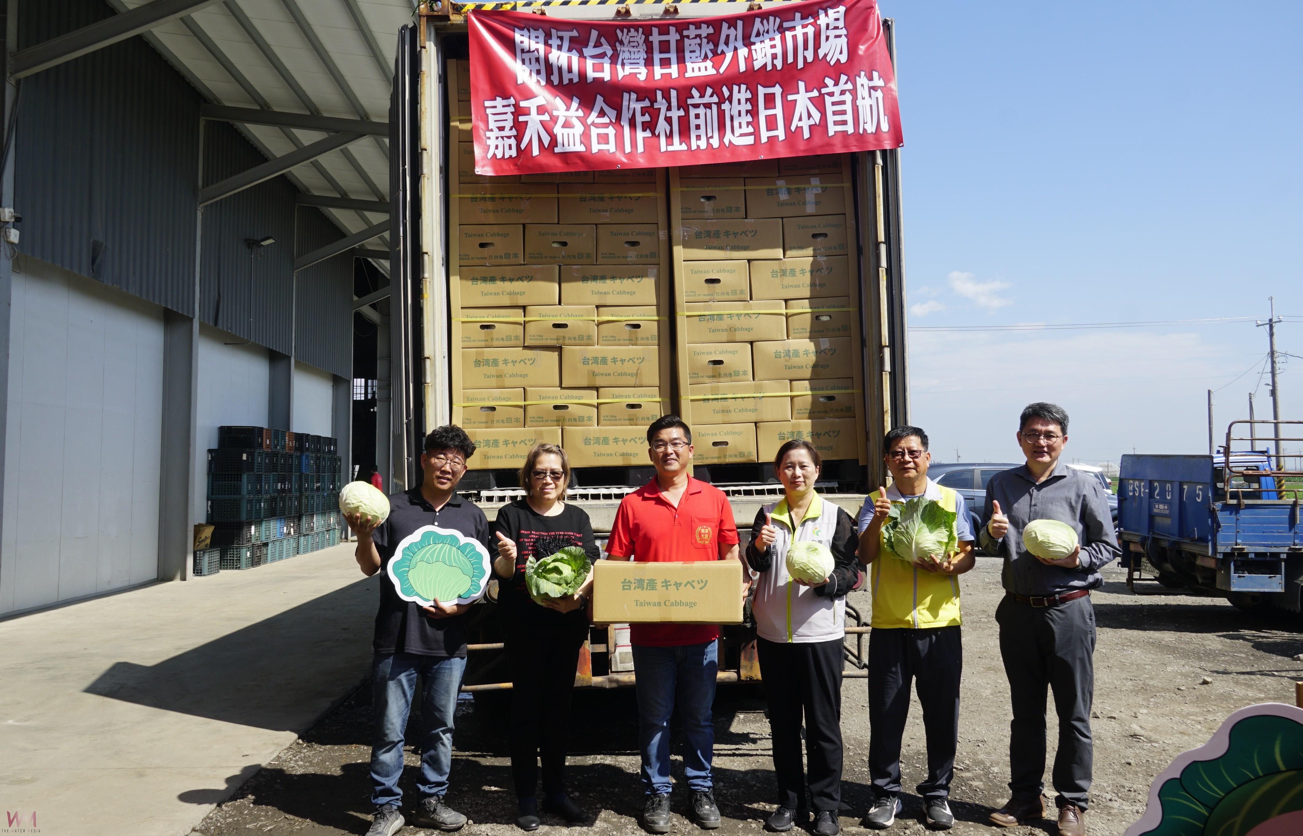 （有影片）／臺灣甘藍首批封櫃外銷日本　雲林高品質蔬菜拓展國際市場 - https://www.watchmedia01.com