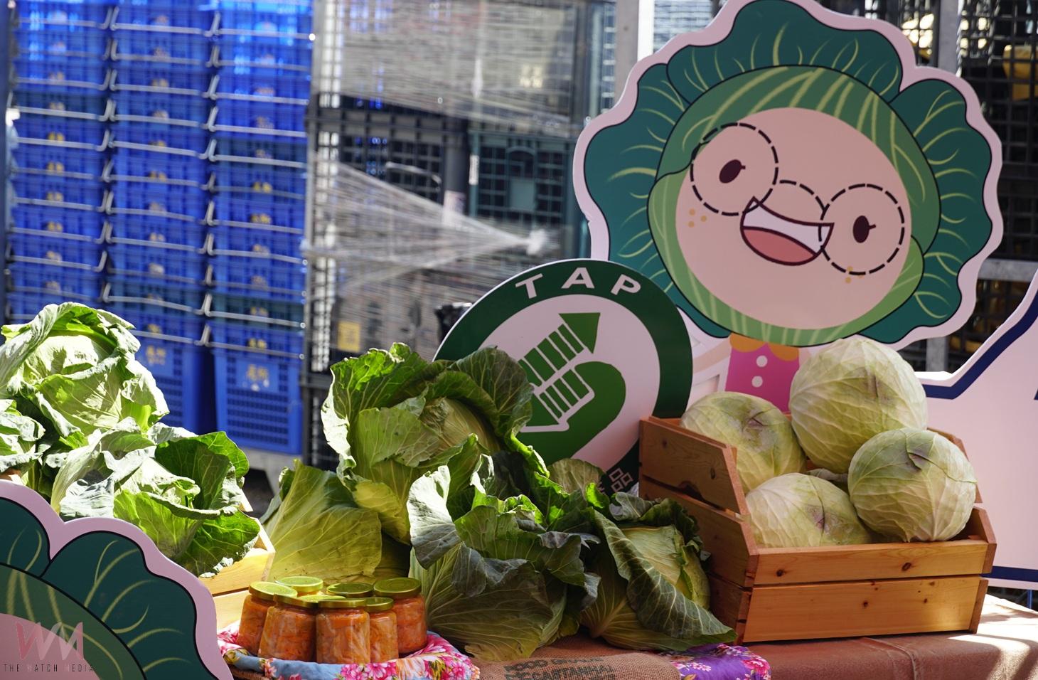 （有影片）／臺灣甘藍首批封櫃外銷日本　雲林高品質蔬菜拓展國際市場 - https://www.watchmedia01.com