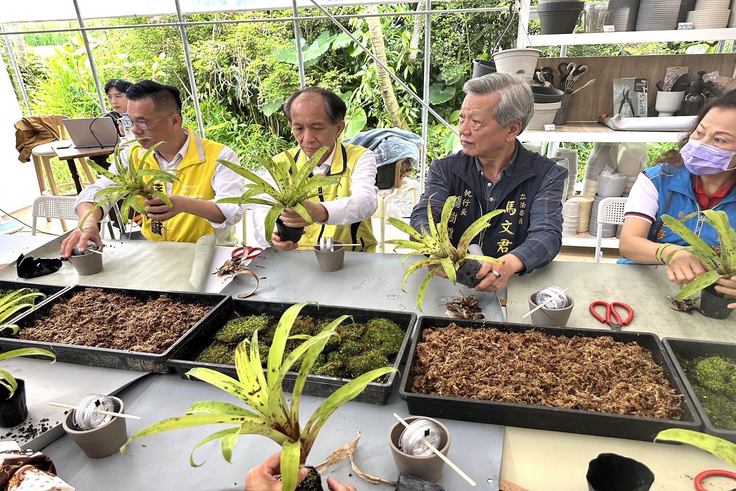 百大青農陳兆倫多年種植的著生杜鵑雨林花季15日盛大開幕—20種少見花色首次公開展出 - https://www.watchmedia01.com
