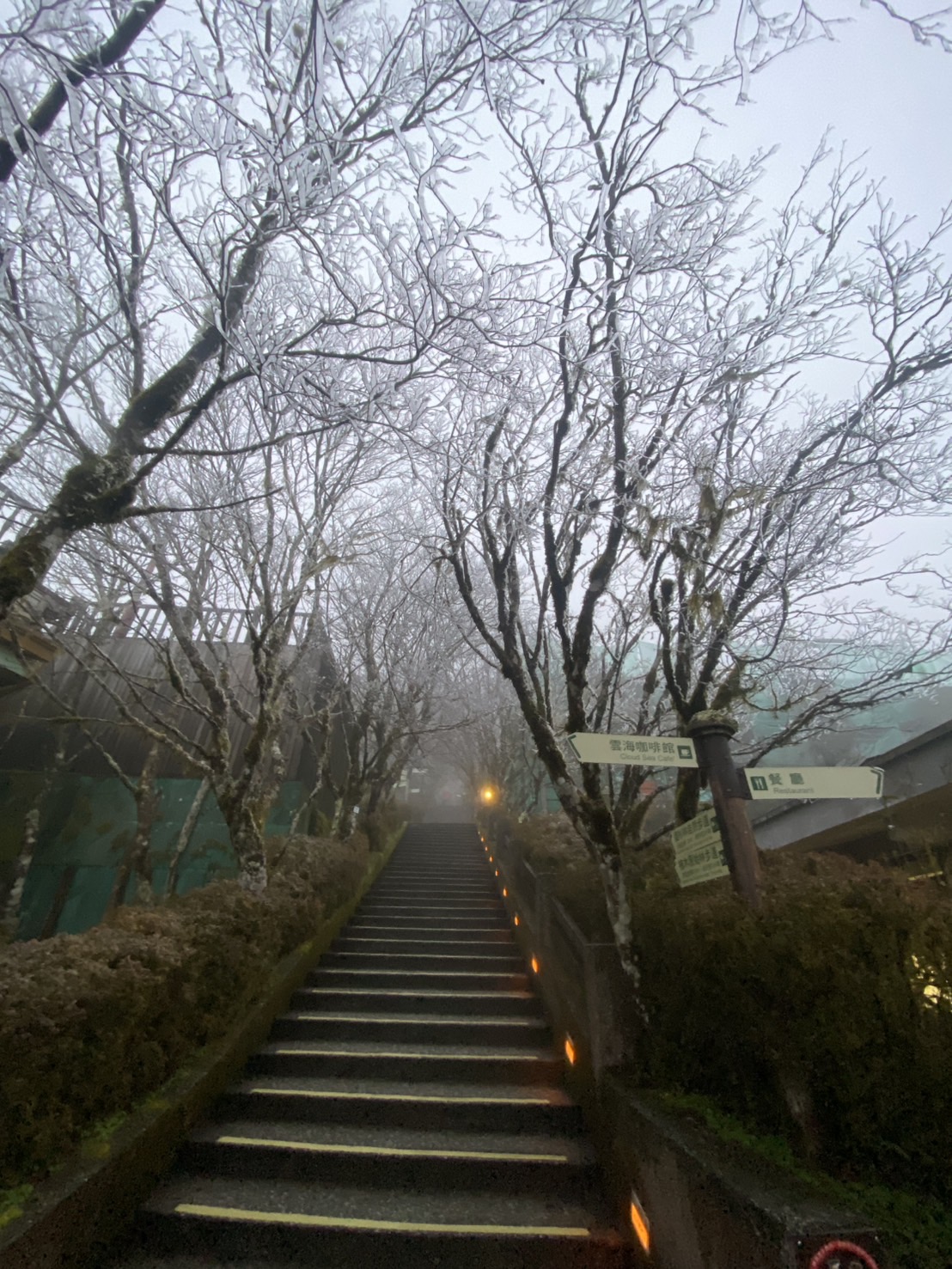 乾冷！太平山未見冰雪 遊樂區早上6點正常開園 - https://www.watchmedia01.com