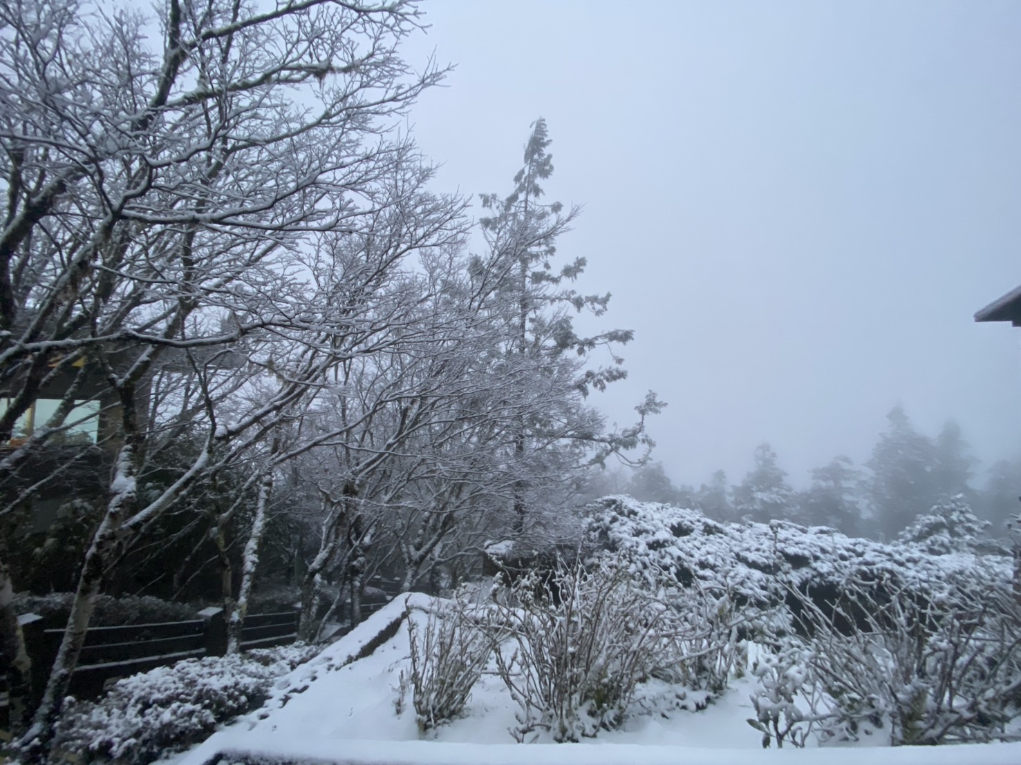雪景再現!3月寒流來襲太平山一片雪白美景 - https://www.watchmedia01.com
