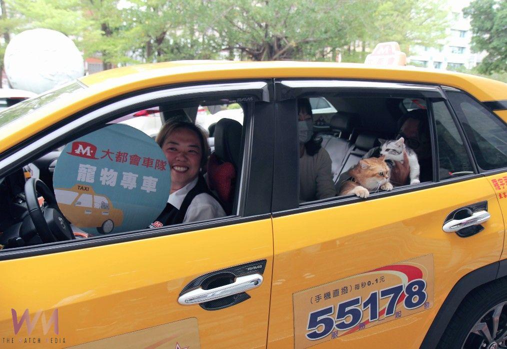 響應國際寵物日!中市交通局推廣寵物友善計程車 毛孩與飼主共乘不加價 - https://www.watchmedia01.com