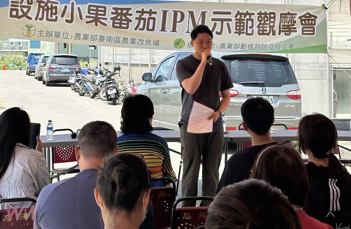 返鄉青年創新防治！蘇員億以椿象抗粉蝨、成功延長小蕃茄收成期 - https://www.watchmedia01.com