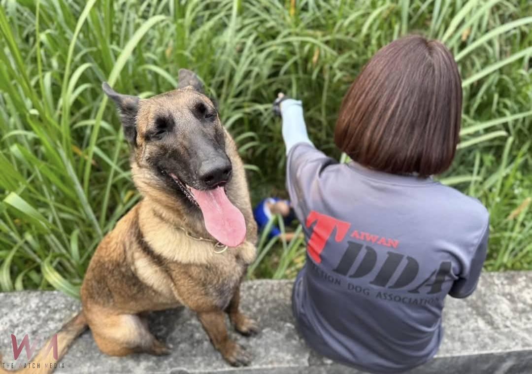 (有影片)/汪汪隊出動!失智阿嬤走失26小時 搜救犬草叢中找到她 - https://www.watchmedia01.com