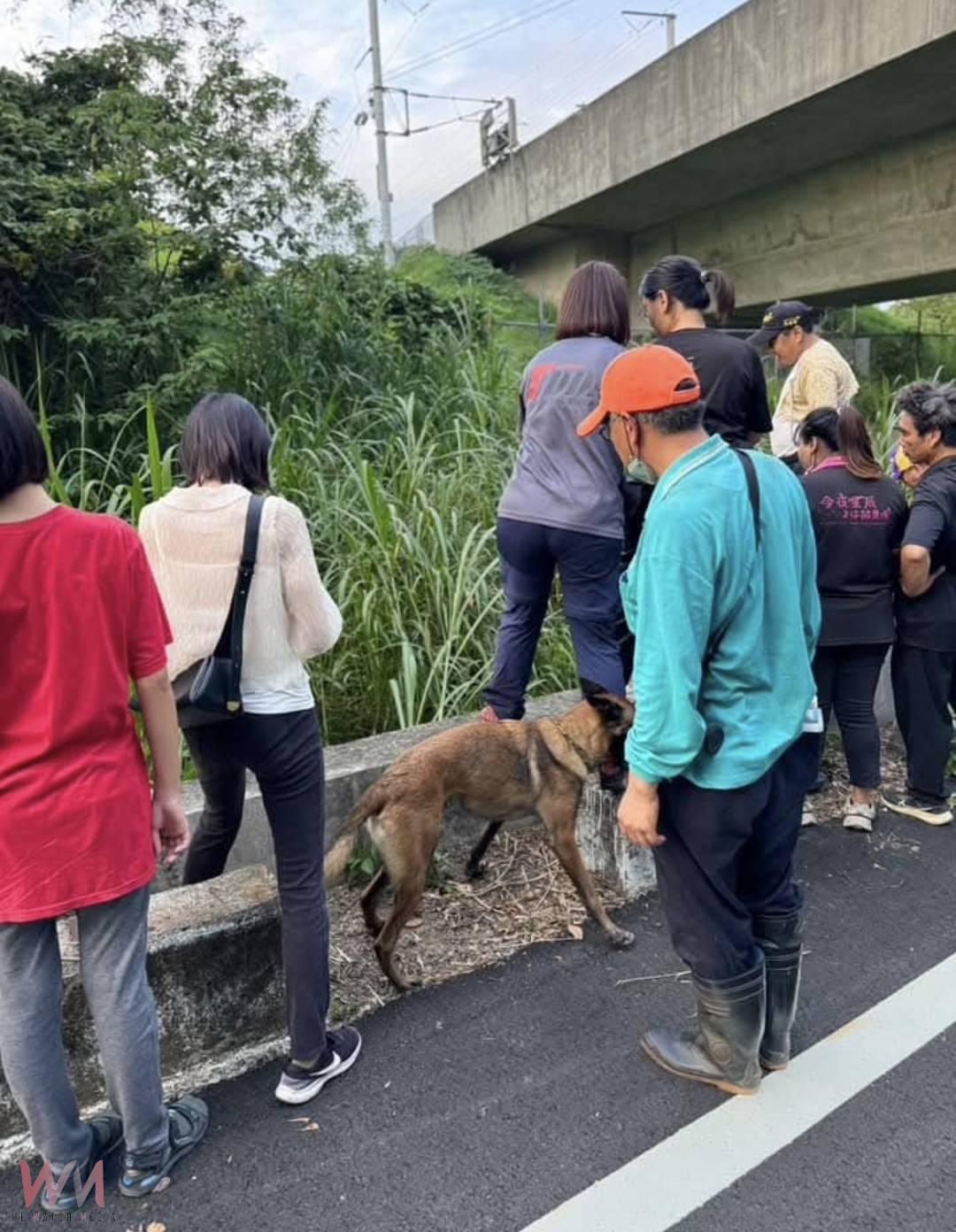 （有影片）／汪汪隊出動！失智阿嬤走失26小時　搜救犬草叢中找到她 - https://www.watchmedia01.com