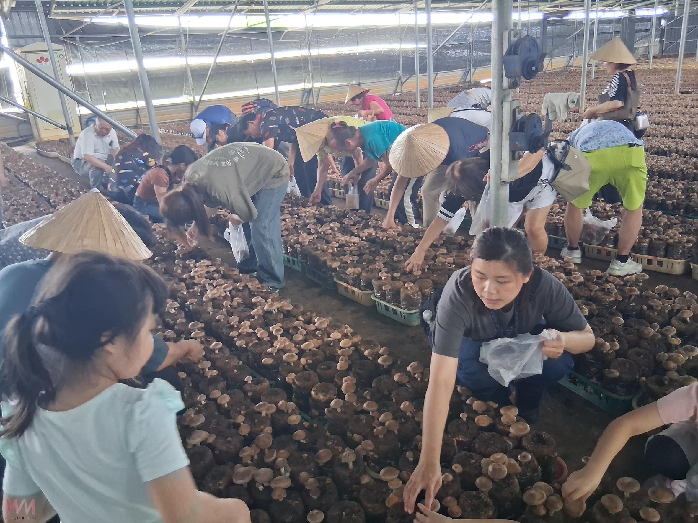 兼具知性與感性 農業局:台中崑南社區舉辦農遊體驗在地風情 - https://www.watchmedia01.com