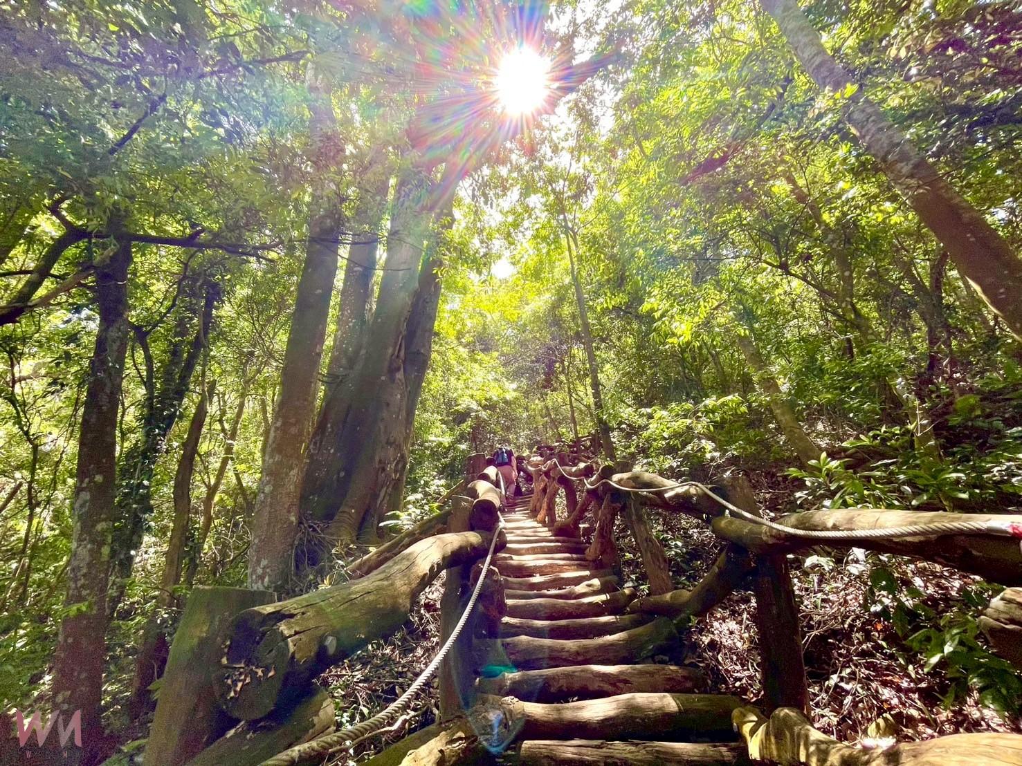跟著布朗青蛙去旅行　中市觀旅局邀民眾探索大坑5-1號手作文學步道 - https://www.watchmedia01.com
