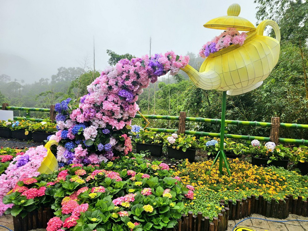 桃園市花現台七-繡球金針農遊趣展開幕 歡迎民眾來復興區賞花 - https://www.watchmedia01.com
