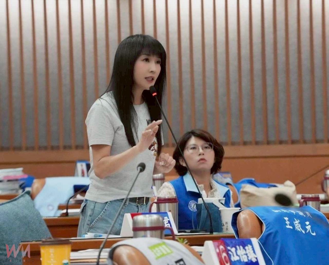 還假於民也唱衰？  新藍圖連線：罷團、綠委、政院逢藍必反很可悲 - https://www.watchmedia01.com