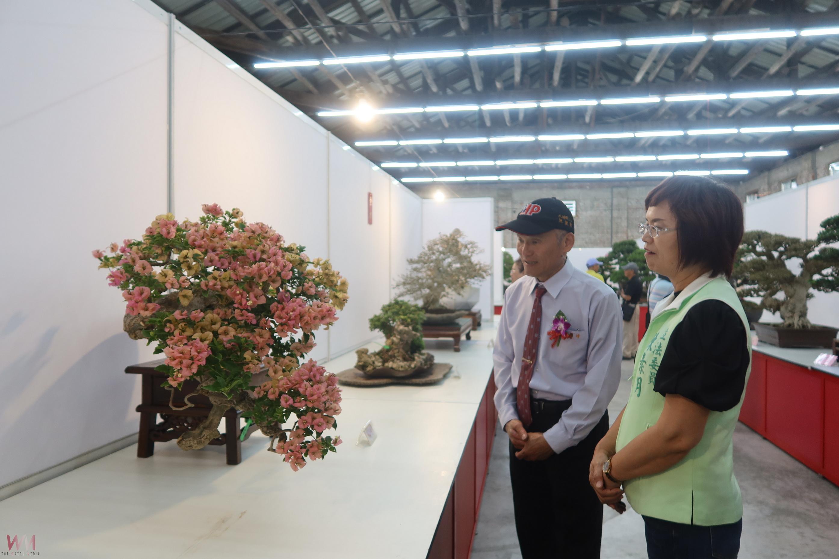 （有影片）／價值破億盆栽展登場！2025設計展預告亮點搶先看 - https://www.watchmedia01.com