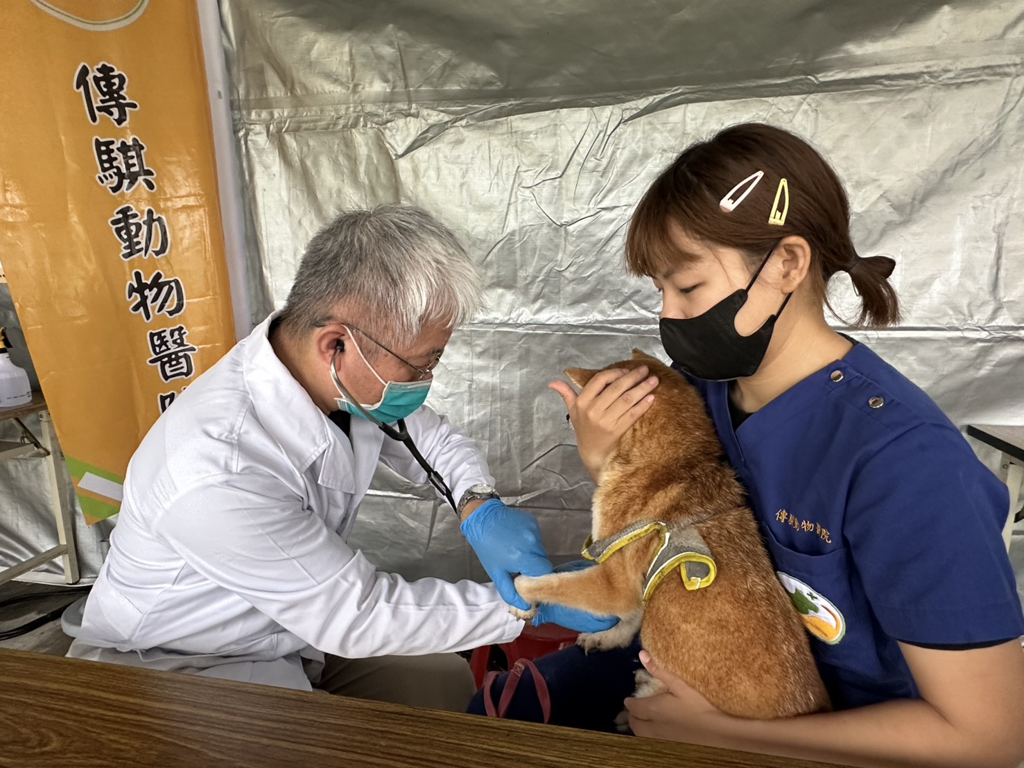 毛孩過節也有健康禮!秀傳醫院攜醫町目市集辦「寵物市集」 - https://www.watchmedia01.com