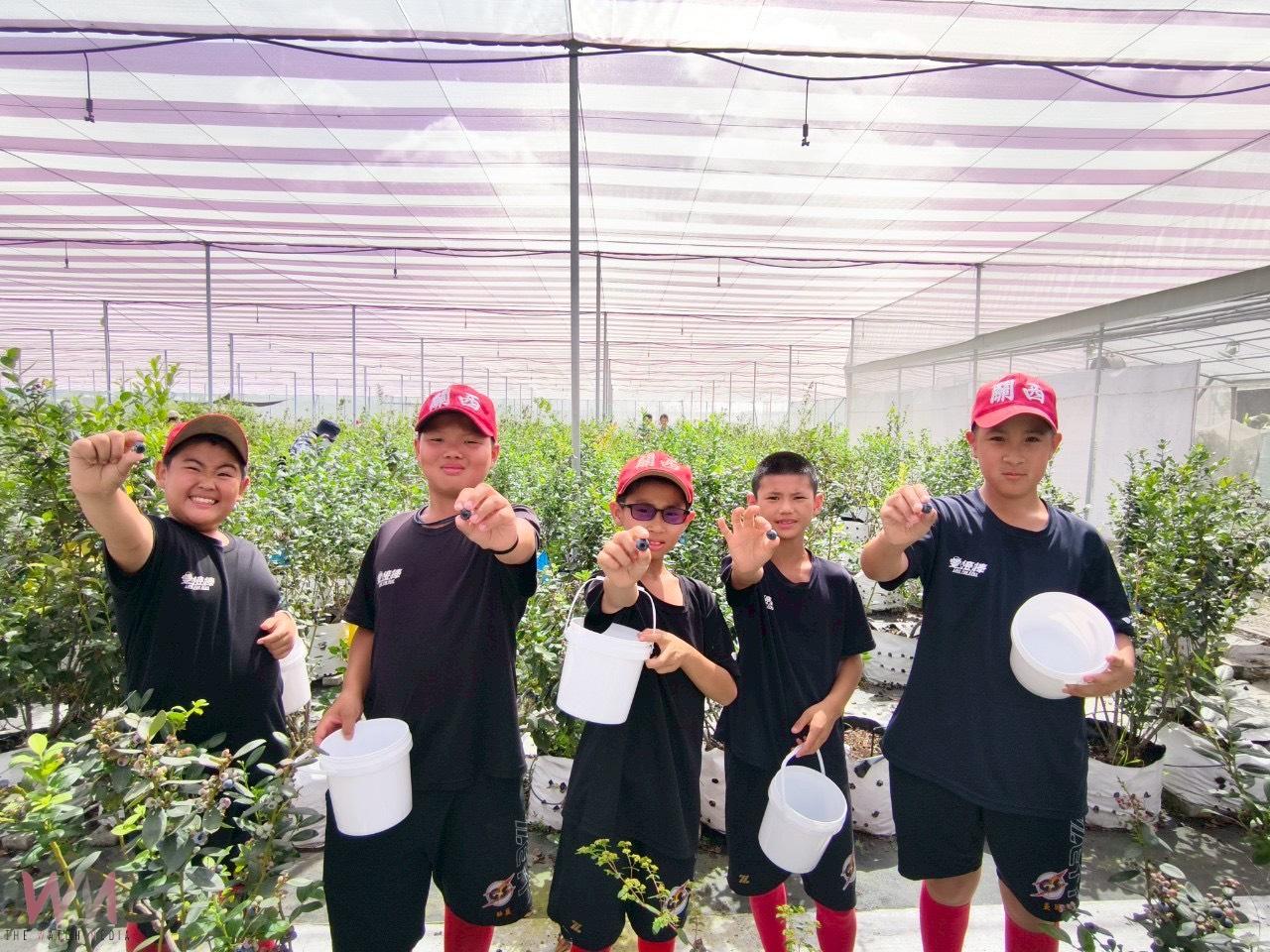 食農教育向下扎根！農村水保署攜中職啟動回饋列車　小球員體驗MLB之旅 - https://www.watchmedia01.com