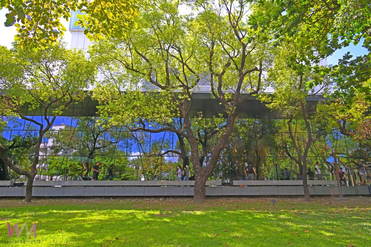 走進最美森林圖書館 大片夢幻窗景室內外皆是美拍 - https://www.watchmedia01.com
