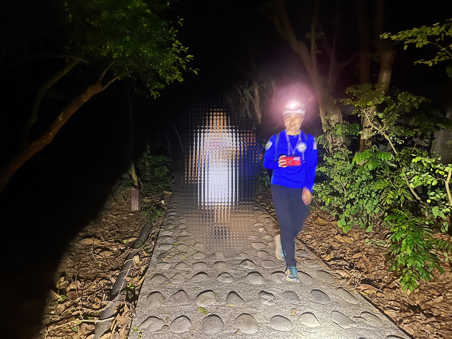 高雄打造堅實山域防護網　三方合作救回5名迷途者 - https://www.watchmedia01.com