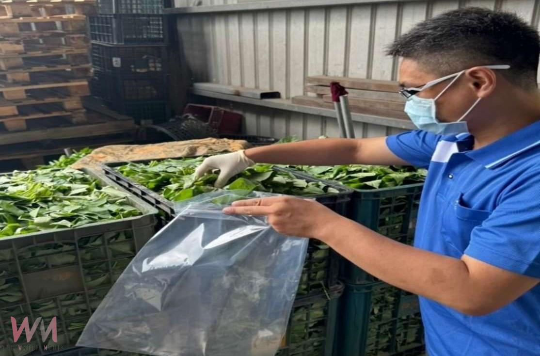 端午粽食安全過關　雲林抽驗65件全數合格 - https://www.watchmedia01.com
