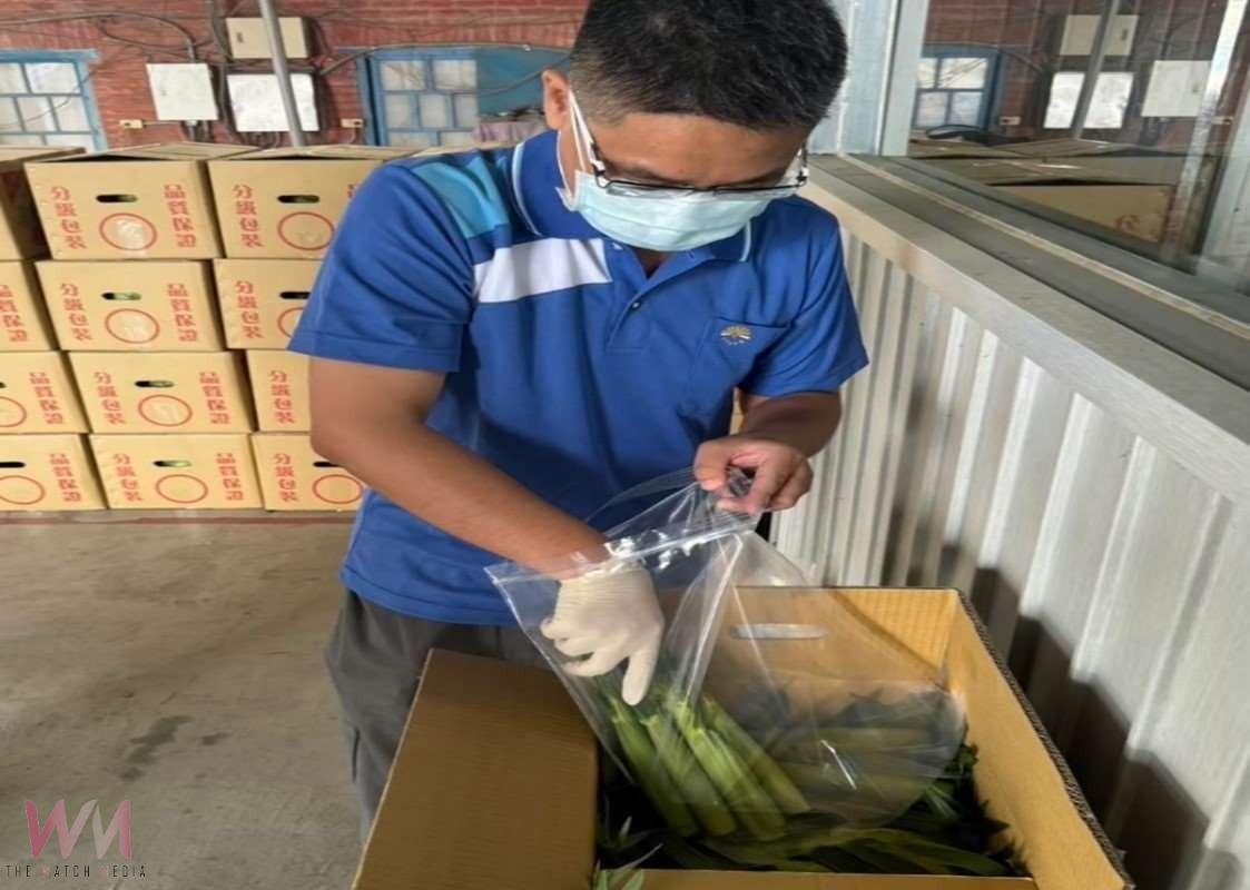 端午粽食安全過關　雲林抽驗65件全數合格 - https://www.watchmedia01.com