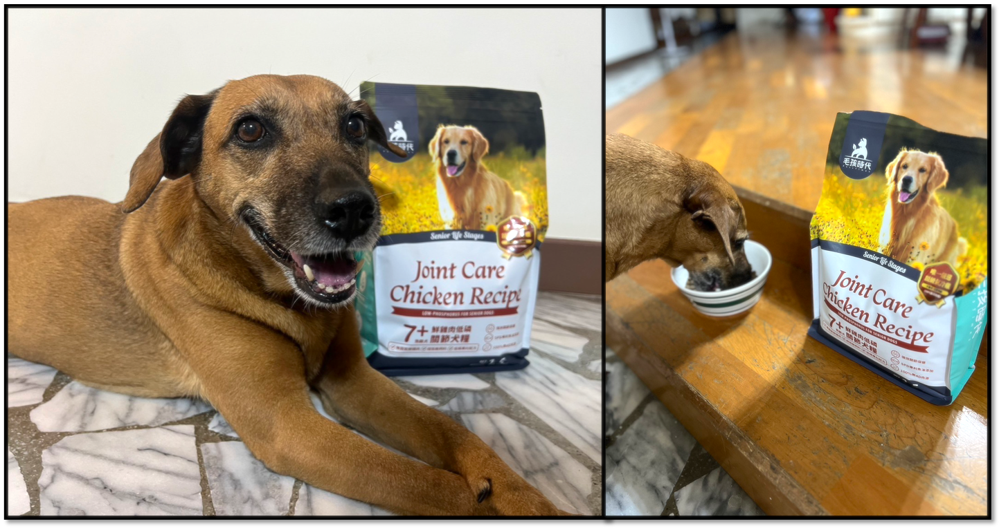 毛孩時代推出專為熟齡犬設計的低磷關節狗飼料，成為守護毛孩晚年健康的重要營養選擇。（品牌提供）