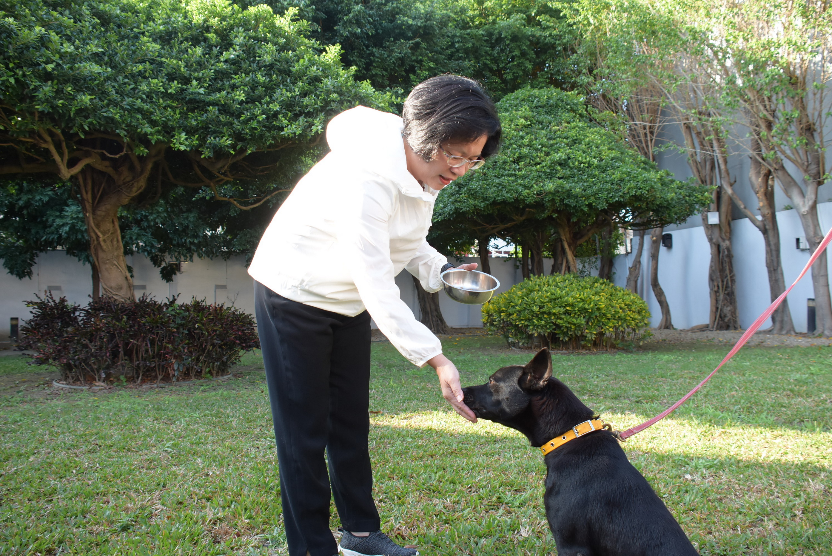 毛孩福利UP!彰化TNVR再出發 彰化今年要絕育2,300隻流浪犬貓 - https://www.watchmedia01.com