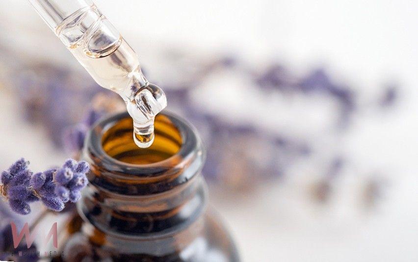 興大研究　天然精油中的T-cadinol成分 有望成為改善慢性疲勞新解方 - https://www.watchmedia01.com