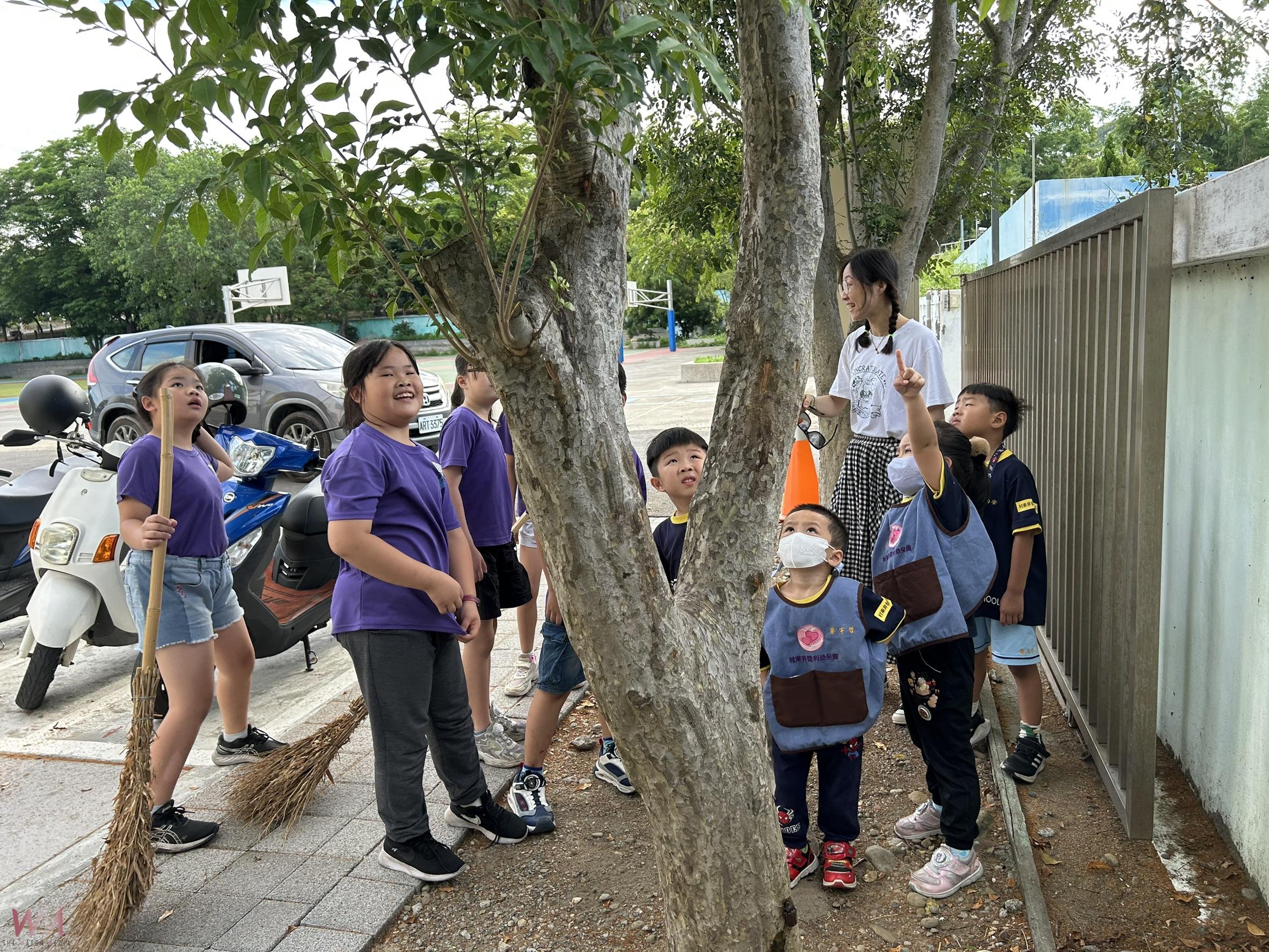 村東非營利幼兒園發現獨角仙 園長謝靜滿解說啟發孩子珍愛生態的心 - https://www.watchmedia01.com
