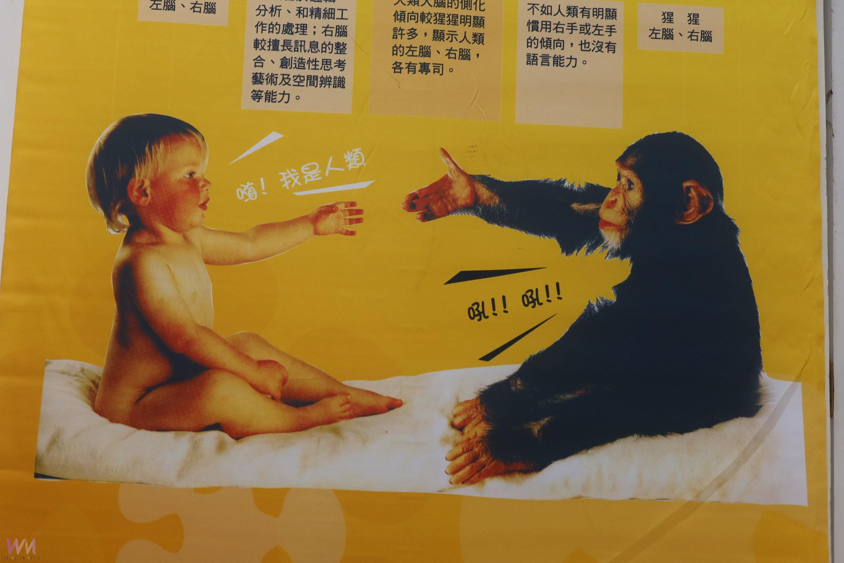 (有影片)/「腦的美麗境界」巡展彰化開展 提升民眾腦健康意識 - https://www.watchmedia01.com