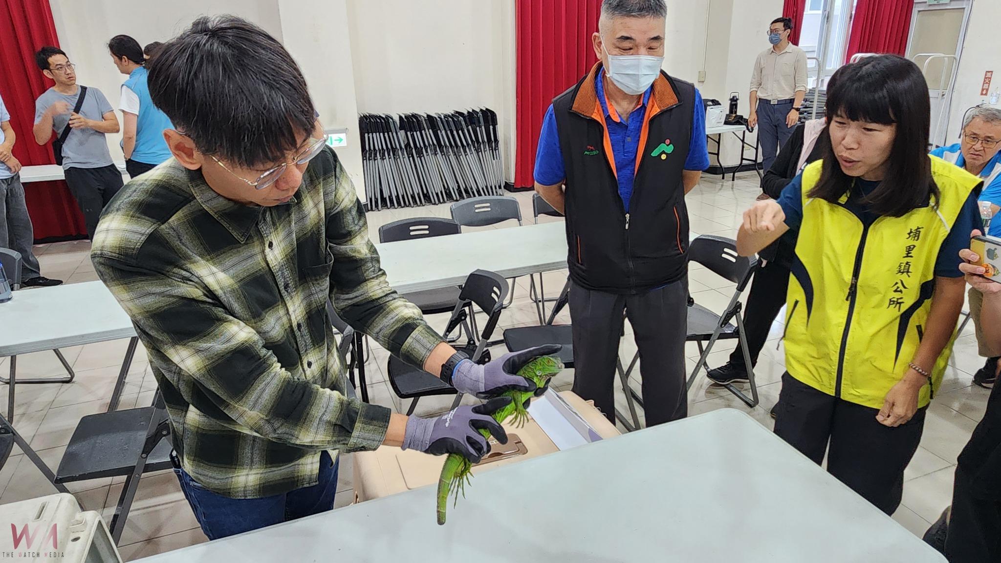 移除酷斯拉大作戰！縣府、公所宣導移除外來種綠鬣蜥教戰守則 - https://www.watchmedia01.com