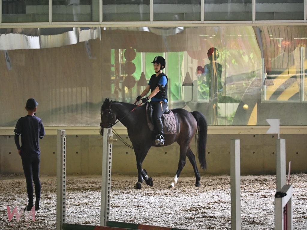 鋼鐵少東林宗傑不愛董座愛養馬 夫妻營造全國高質感馬場進軍國際 - https://www.watchmedia01.com
