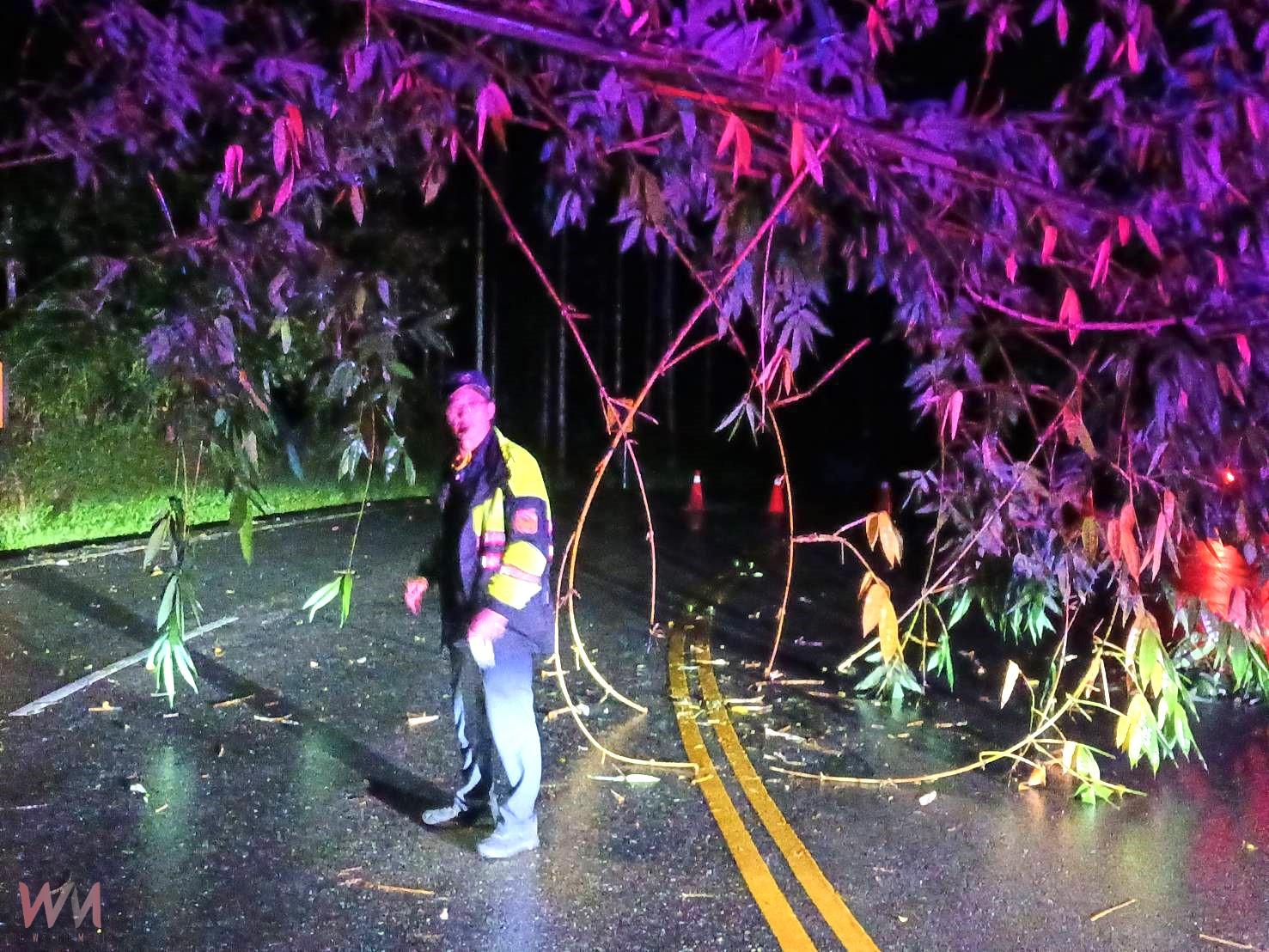 風雨夜間竹倒橫路 集集警長帶隊 警民合力冒雨排除障礙 - https://www.watchmedia01.com