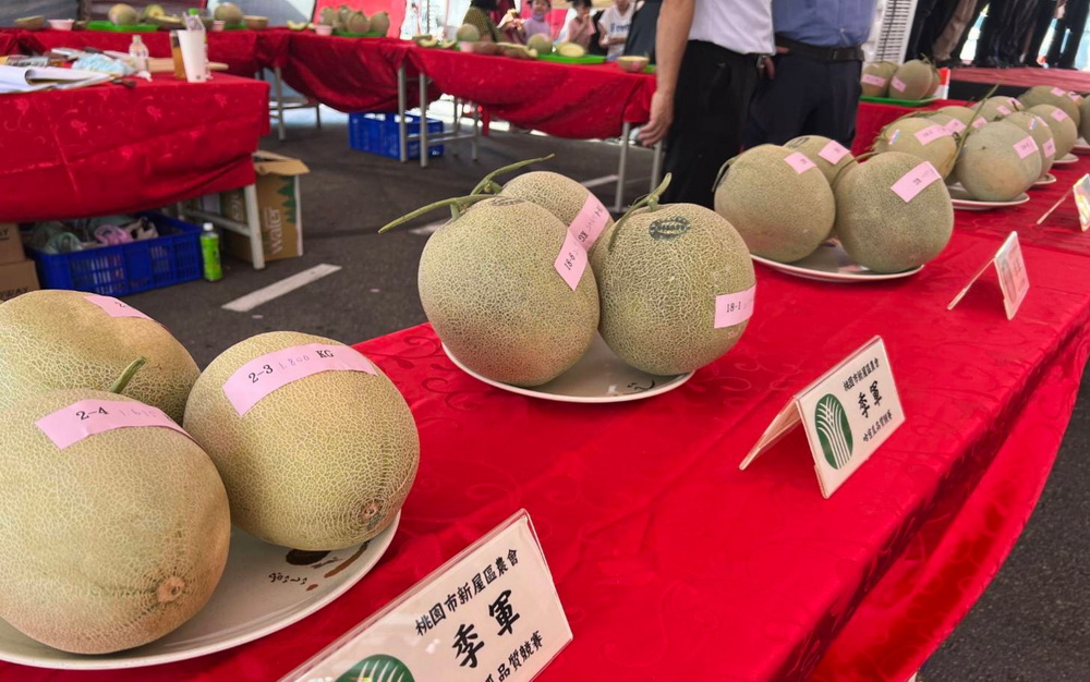 桃園新屋推優質哈蜜瓜 評鑑競賽現場品嚐人氣爆棚 - https://www.watchmedia01.com