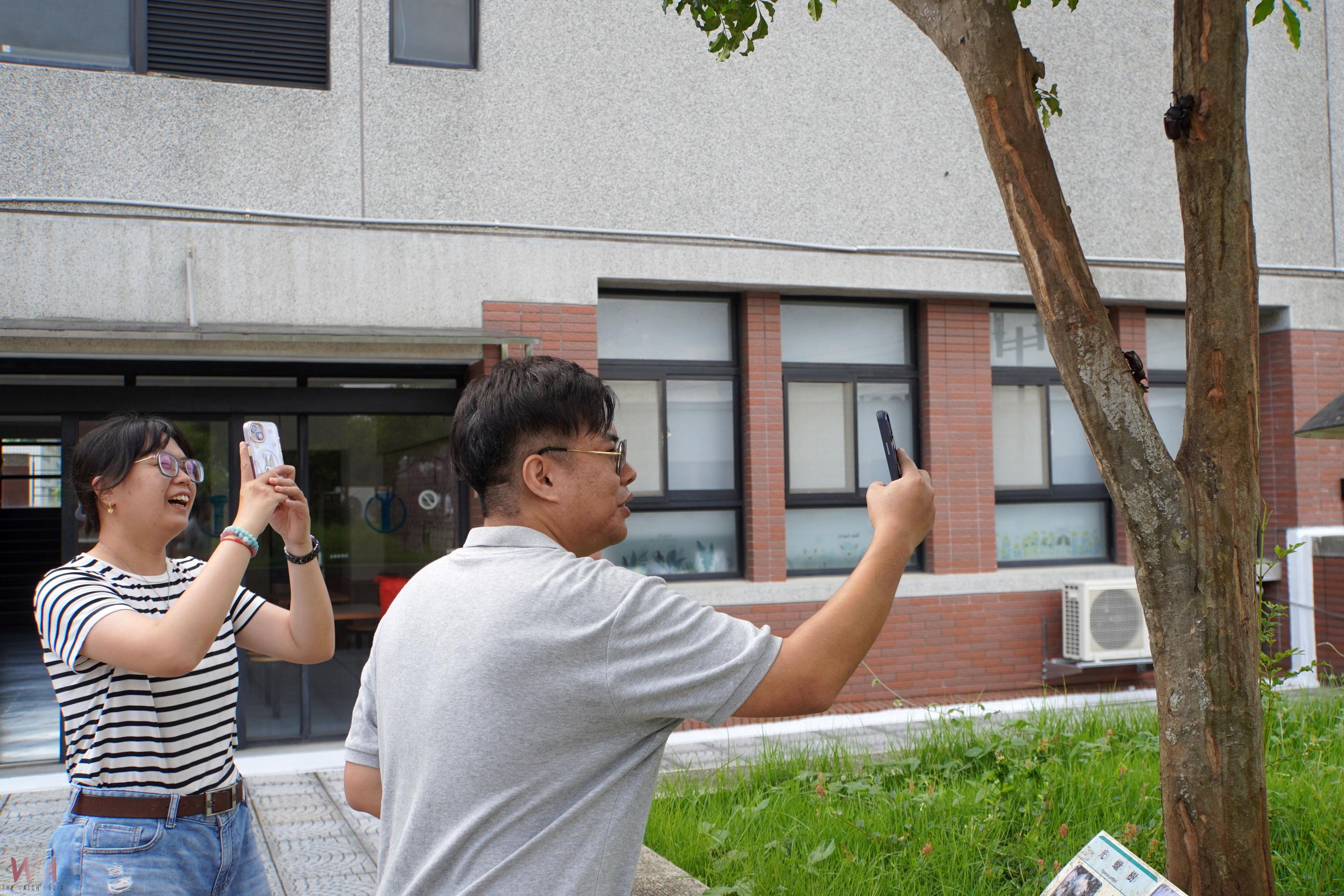 夏日盔甲勇士齊聚大葉　光蠟樹下獨角仙生態盛宴 - https://www.watchmedia01.com