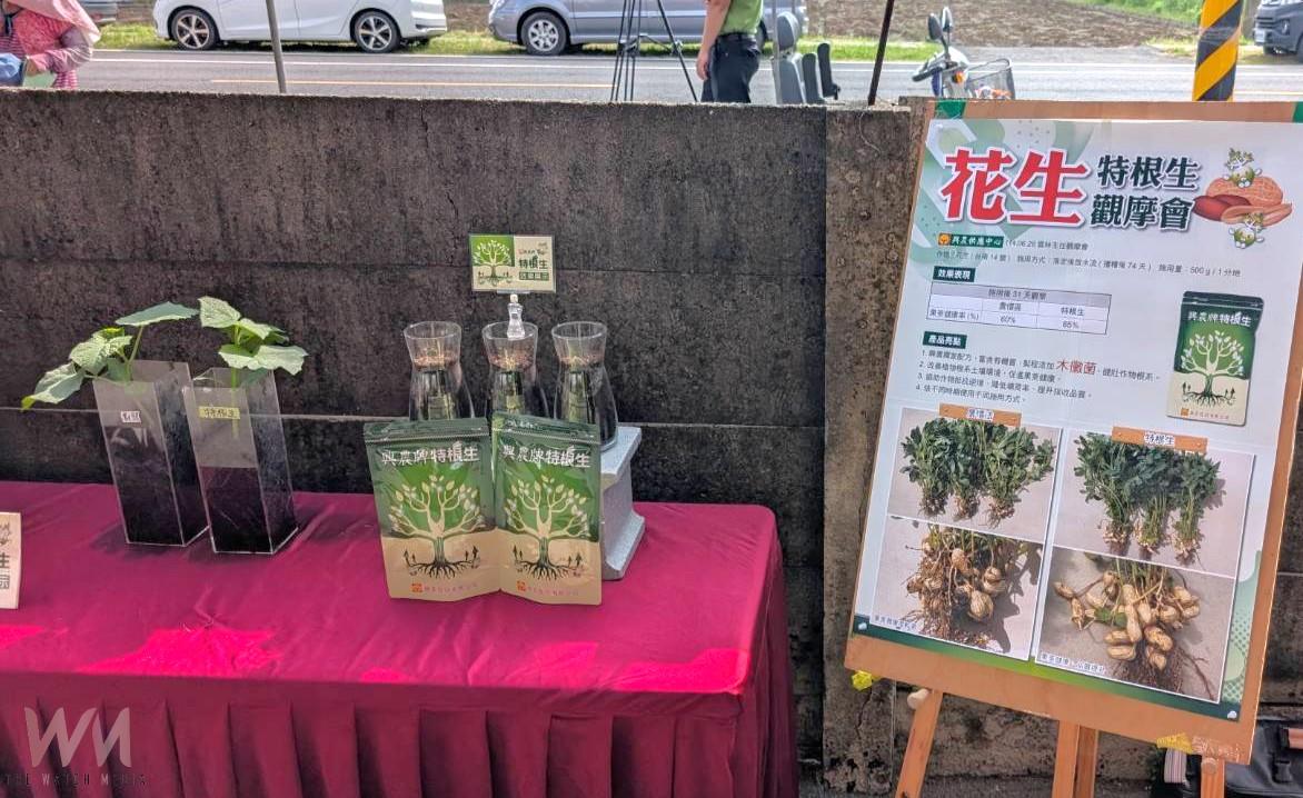 （有影片）／雲林花生觀摩會熱烈登場　木黴菌技術助攻農業永續 - https://www.watchmedia01.com