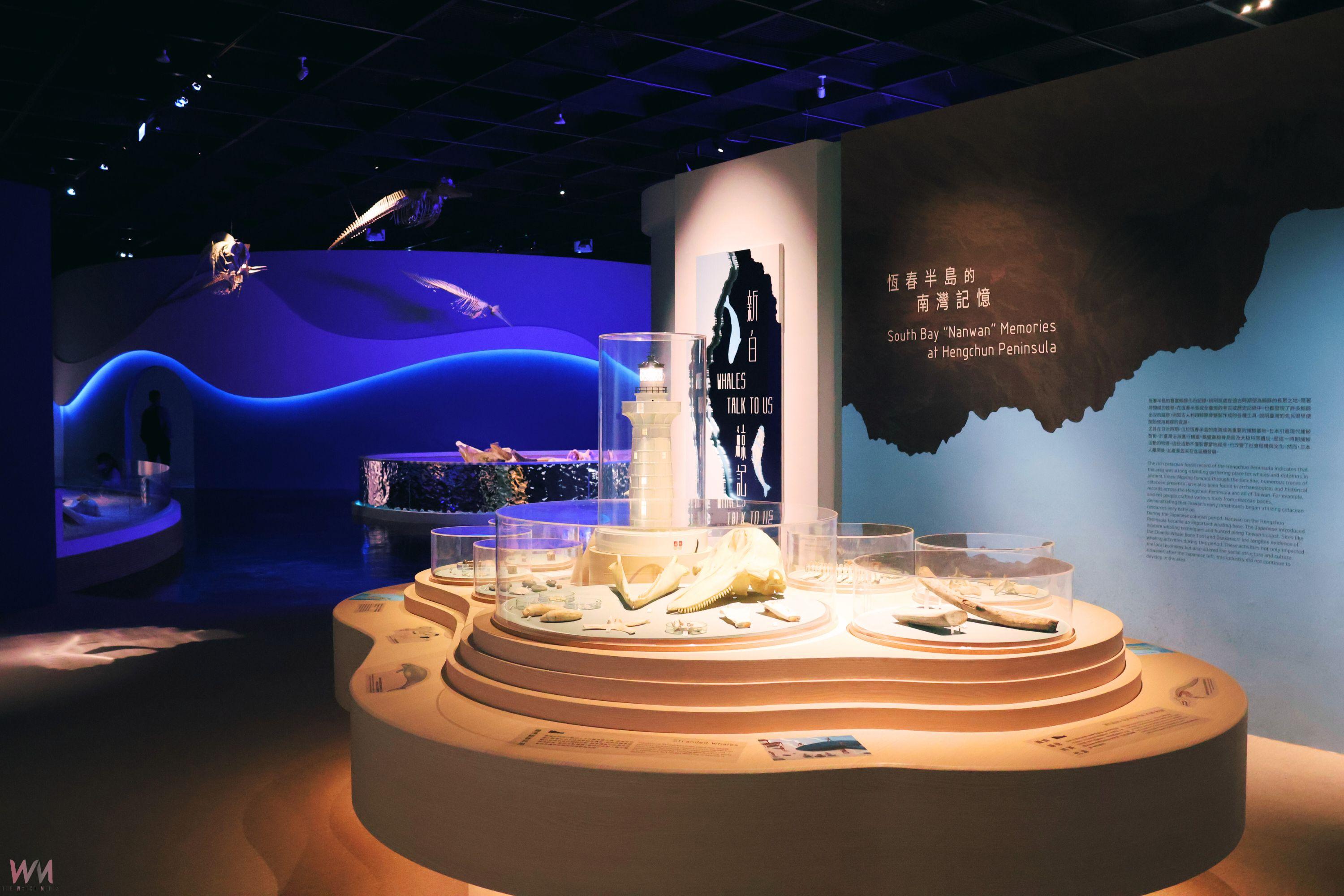 沉浸式空間設計、鬚鯨化石清修展場　科博館《鯨掘》揭開臺灣鯨豚萬年記憶 - https://www.watchmedia01.com