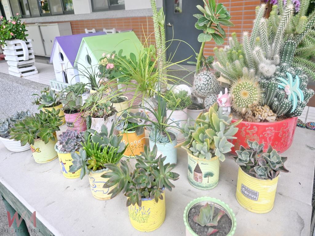 田中高中班班有盆景打造綠美化校園 多肉寶寶成為迎賓門面 - https://www.watchmedia01.com