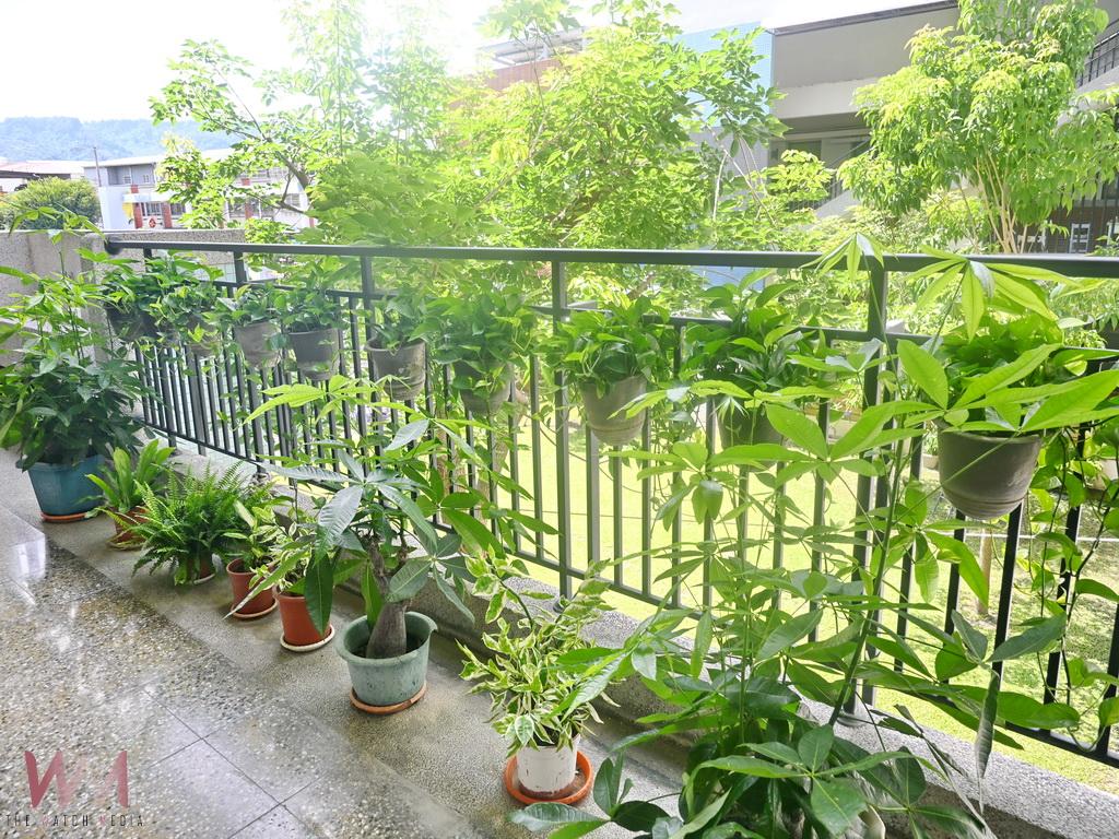 田中高中班班有盆景打造綠美化校園 多肉寶寶成為迎賓門面 - https://www.watchmedia01.com