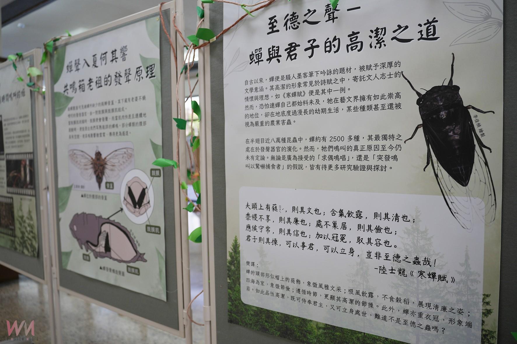 從詩詞繪畫藝術中認識昆蟲　中興大學昆蟲展今6/28開幕 - https://www.watchmedia01.com