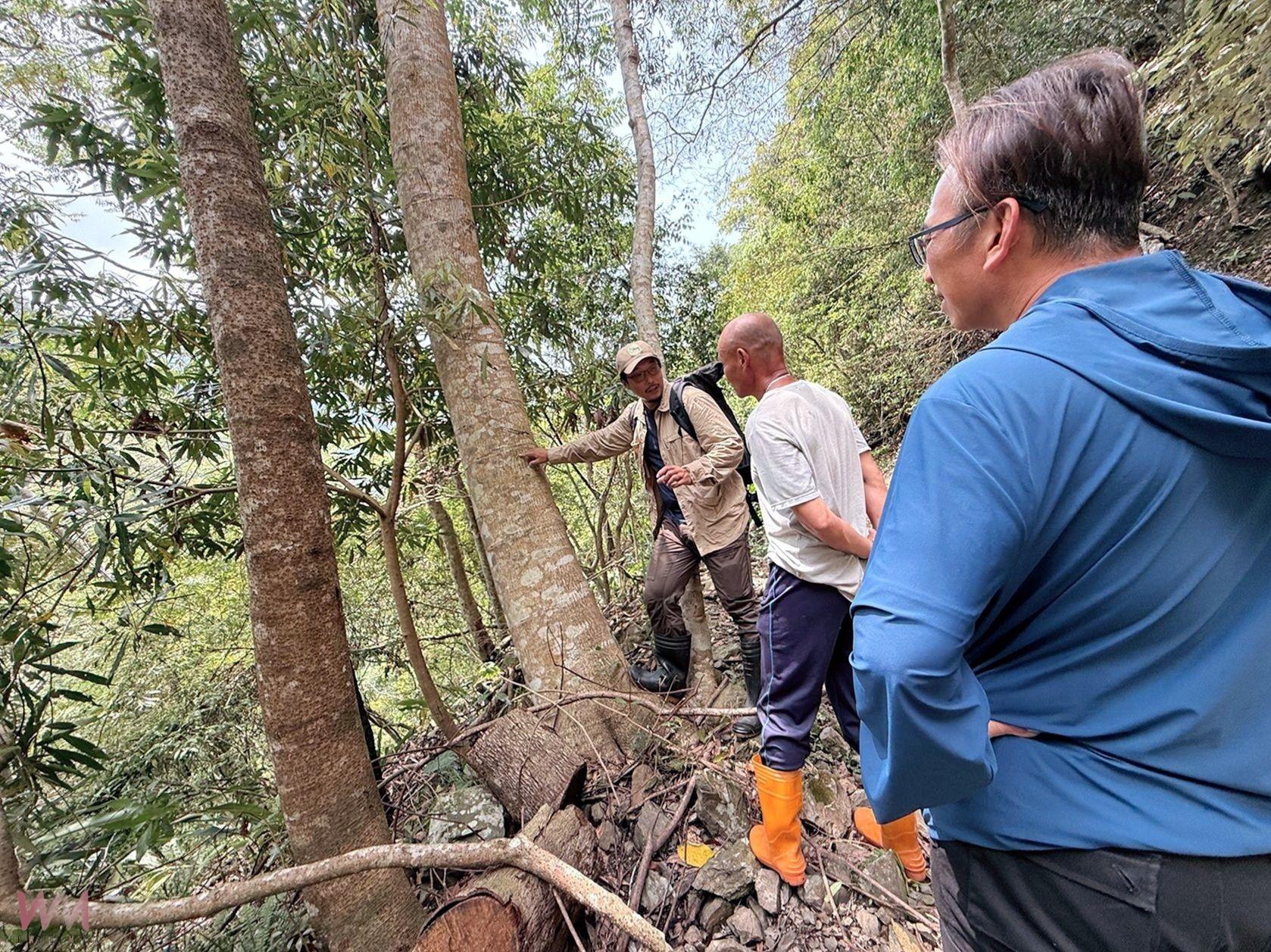 保育生態有功！黑熊現身淺山棲地　大安溪沿線4部落齊心護熊獲頒獎勵金 - https://www.watchmedia01.com