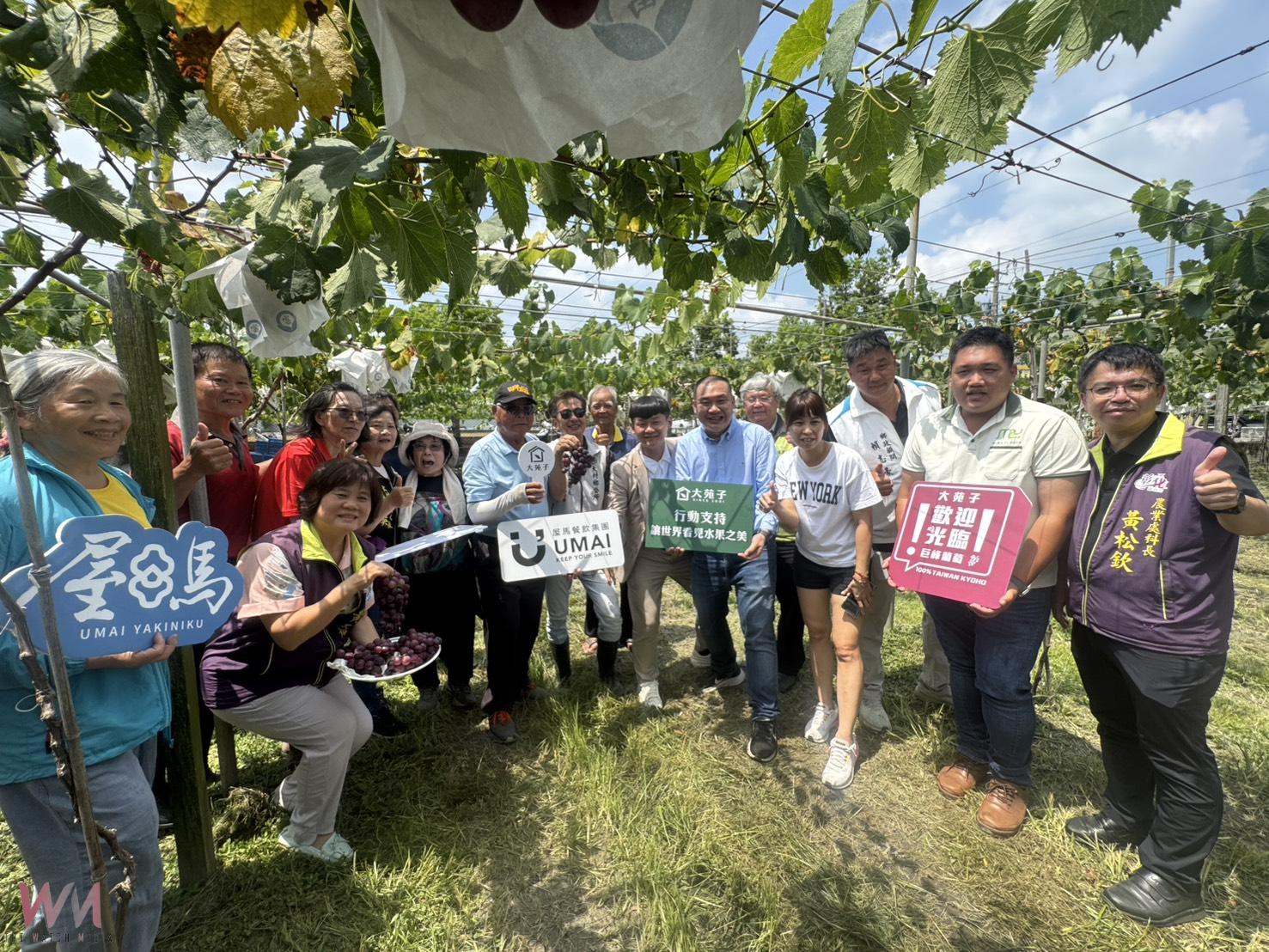 （有影片）／大村葡萄遭氣候重創　縣府媒合企業推出飲品搶救果農銷路 - https://www.watchmedia01.com