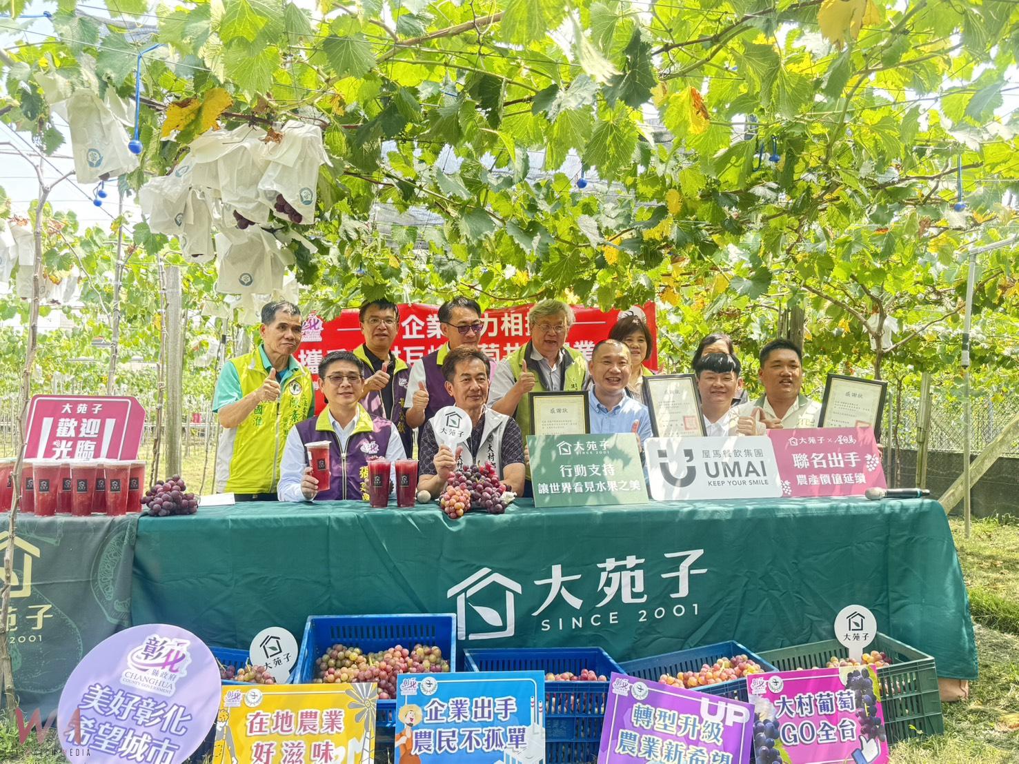 （有影片）／大村葡萄遭氣候重創　縣府媒合企業推出飲品搶救果農銷路 - https://www.watchmedia01.com