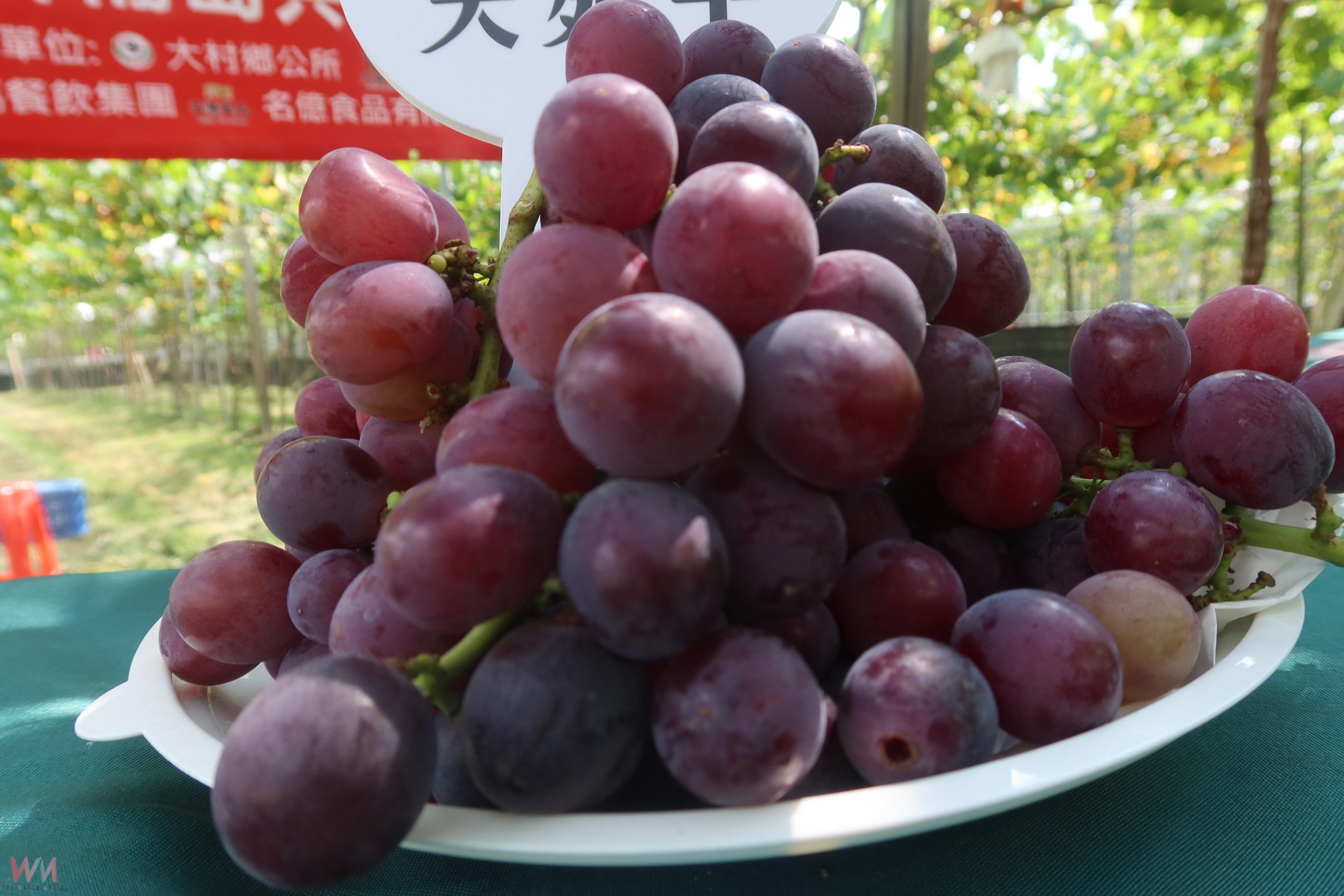 （有影片）／大村葡萄遭氣候重創　縣府媒合企業推出飲品搶救果農銷路 - https://www.watchmedia01.com