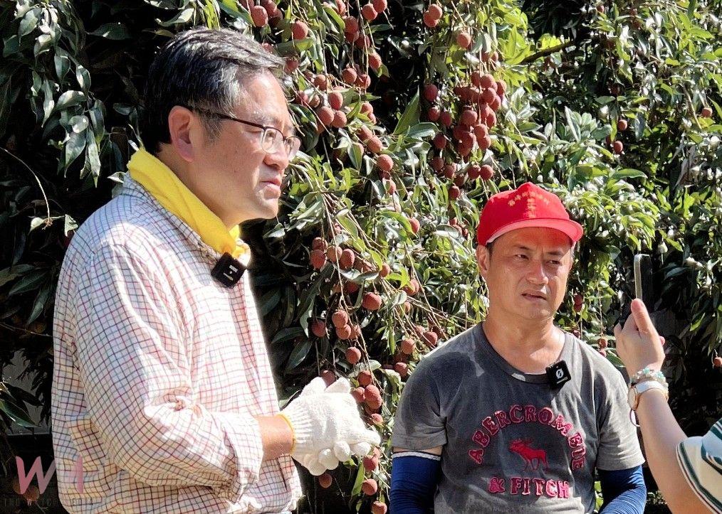 減產更需加強宣傳！霧農大叔教如何吃荔枝不上火　瀏覽人次3天破200萬 - https://www.watchmedia01.com