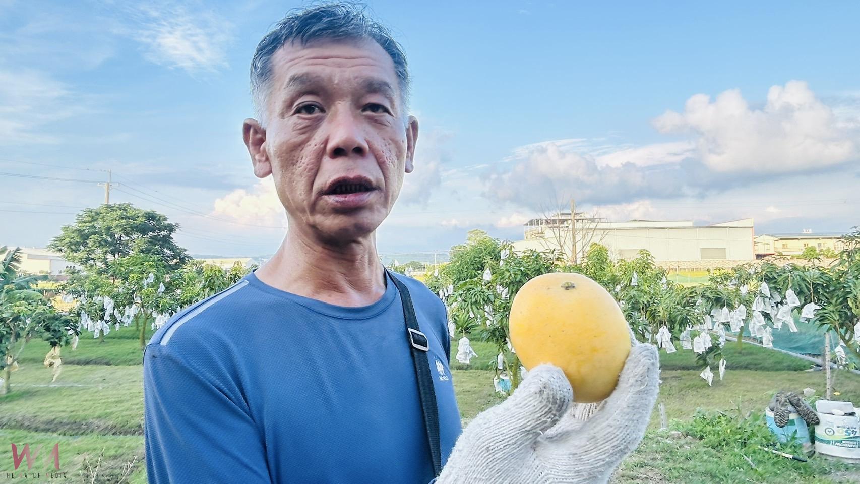 以師鐸獎的精神拚現代農業 精誠中學校長游源忠產出優質芒果 - https://www.watchmedia01.com