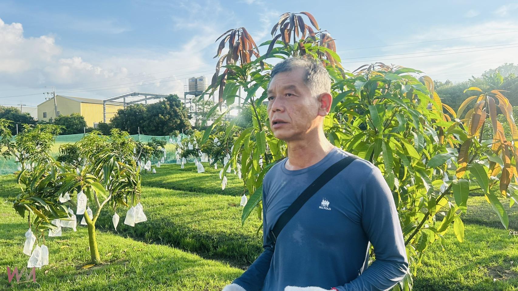 以師鐸獎的精神拚現代農業 精誠中學校長游源忠產出優質芒果 - https://www.watchmedia01.com