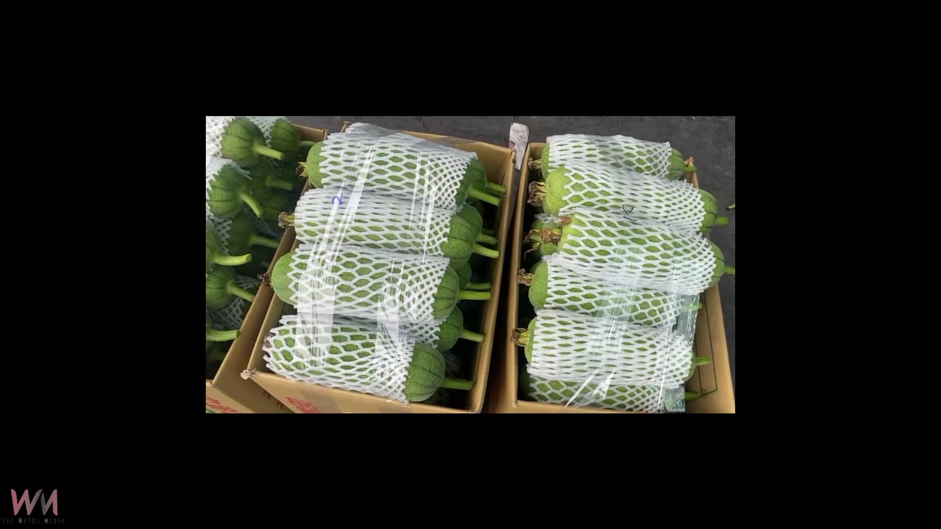 丹娜絲來襲前　溪湖市場蔬菜批發價不升反跌　市場供應充足 - https://www.watchmedia01.com