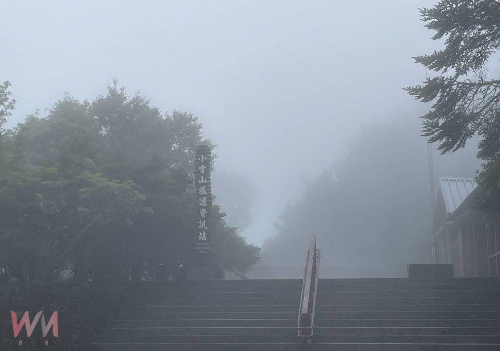 丹娜絲颱風遠離　大雪山、八仙山、武陵國家森林遊樂區及東勢林業文化園區7/8恢復營運 - https://www.watchmedia01.com