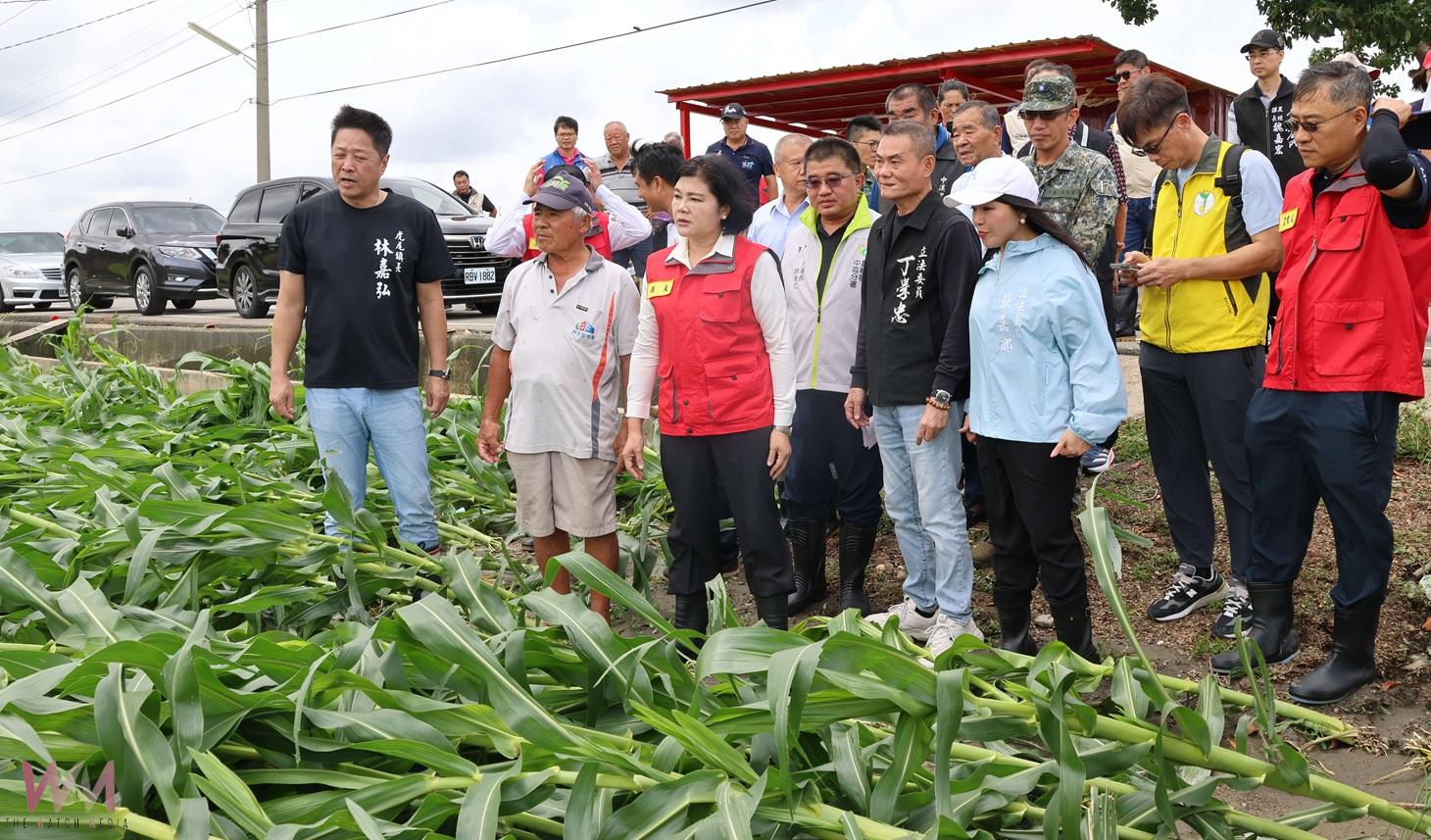 雲林丹娜絲農損全國最重　張麗善籲中央速納入全面救助 - https://www.watchmedia01.com