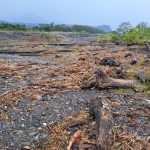 漂流木非你我可隨便撿　南投分署提醒：颱風期間撿拾恐觸法 - https://www.watchmedia01.com