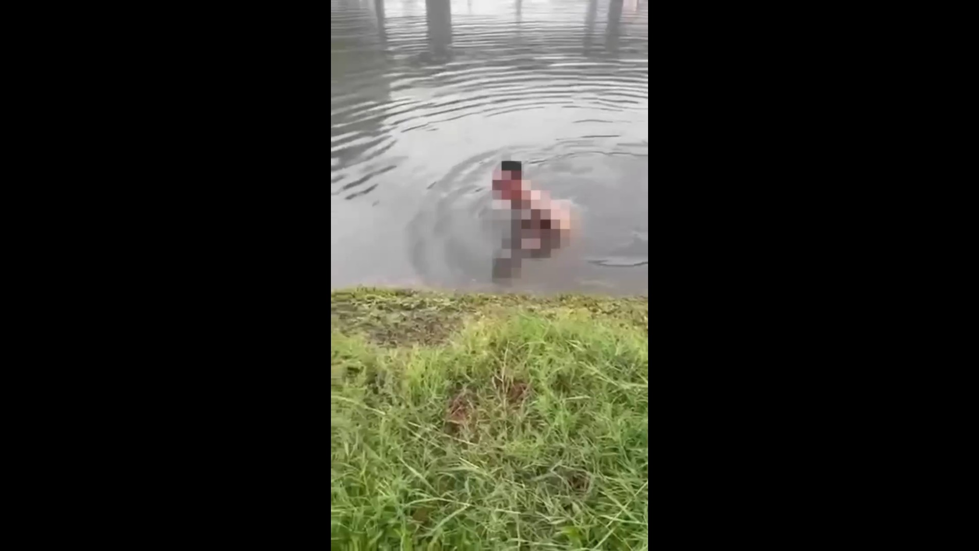 （有影片）／【屁孩添亂】暴雨中裸泳還自拍　刺青男跳滯洪池遭法辦 - https://www.watchmedia01.com