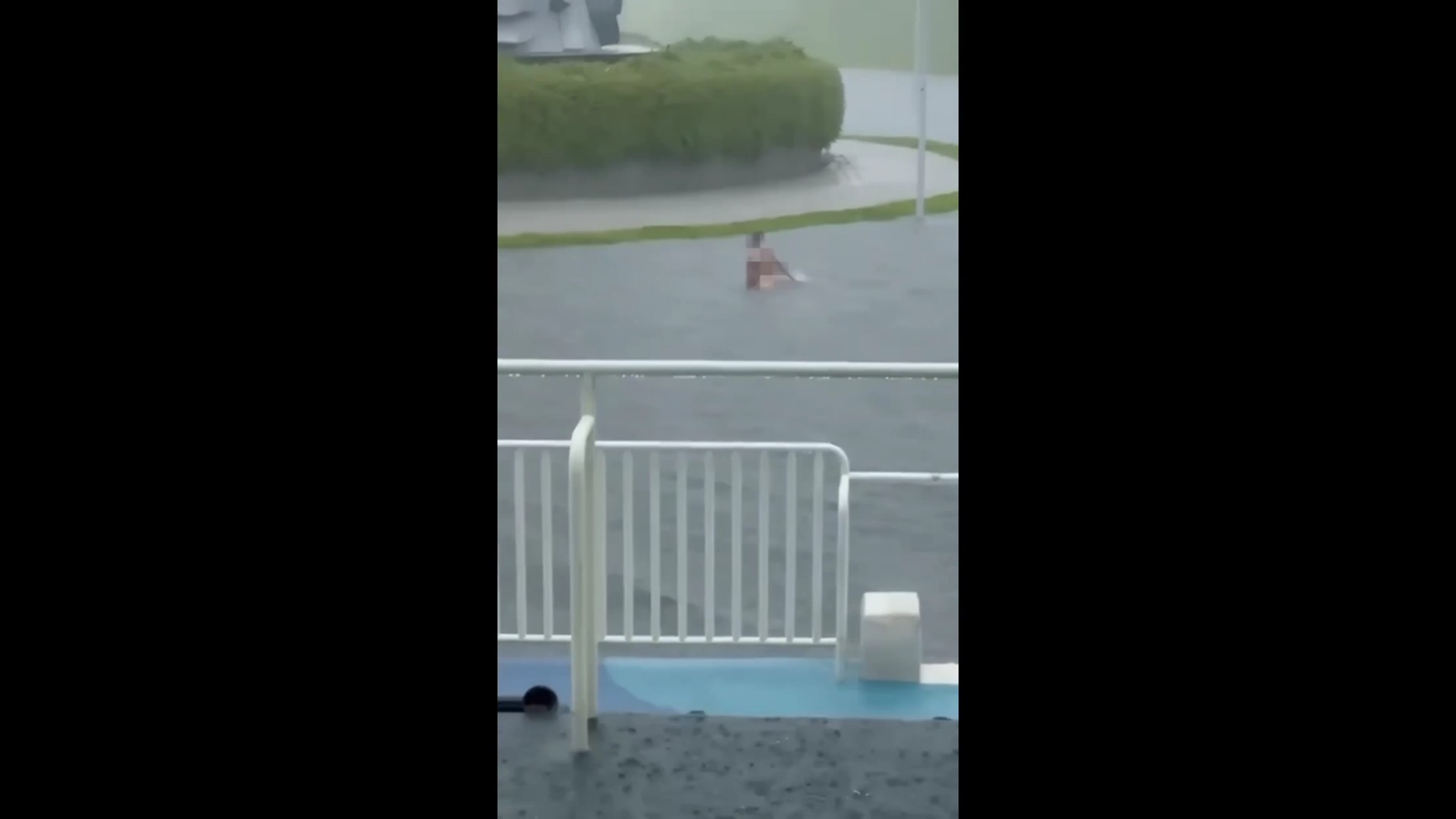 （有影片）／【屁孩添亂】暴雨中裸泳還自拍　刺青男跳滯洪池遭法辦 - https://www.watchmedia01.com