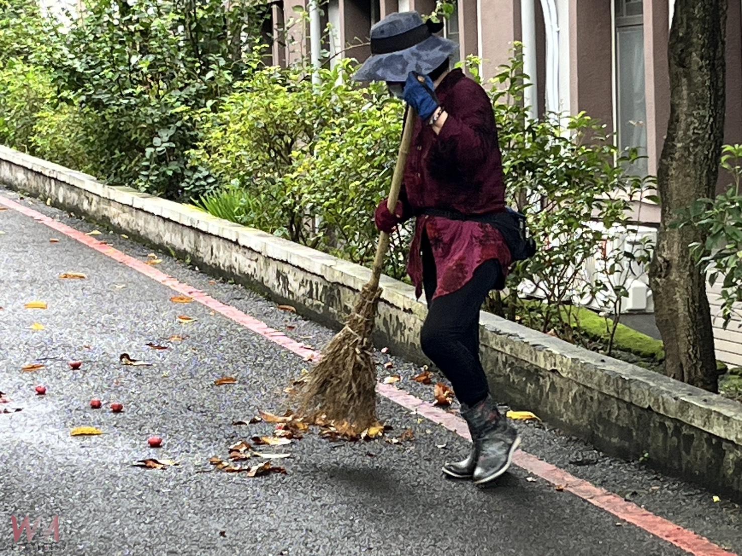 颱風後病媒蚊風險升高　彰化榮家強化環境清消防登革熱 - https://www.watchmedia01.com