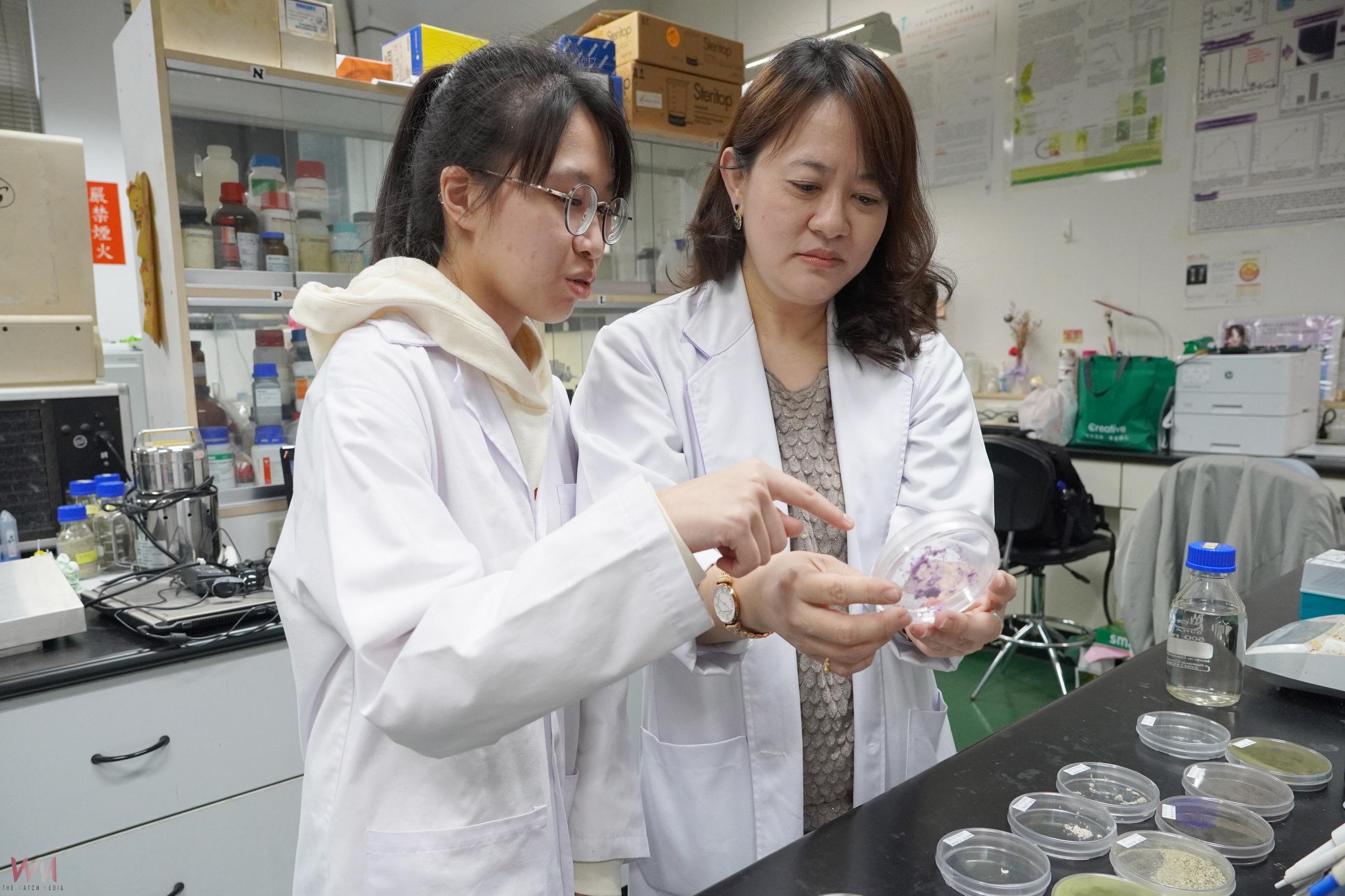 大葉大學開發仙人掌美粧專利 蔡嘉臻研發成果獲國科會肯定 - https://www.watchmedia01.com